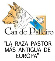 ¡Si!, tengo un Can de Palleiro