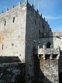 Castelo de Soutomaior (Soutomaior)